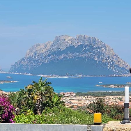 Claude&Kate'S Dream House Villa Porto San Paolo  Dış mekan fotoğraf